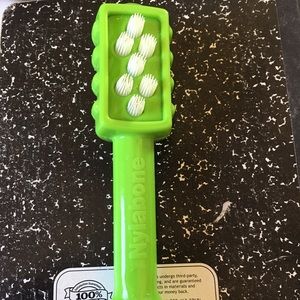 Nylabone brush toy